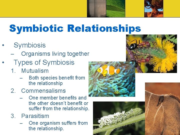 Symbiotic Relationships • Symbiosis – • Organisms living together Types of Symbiosis 1. Mutualism