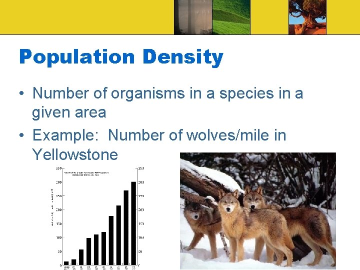 Population Density • Number of organisms in a species in a given area •