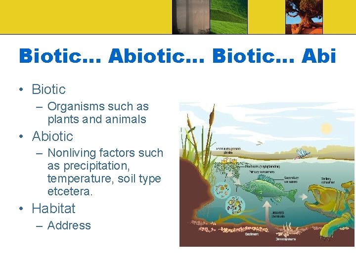 Biotic… Abiotic… Biotic… Abi • Biotic – Organisms such as plants and animals •