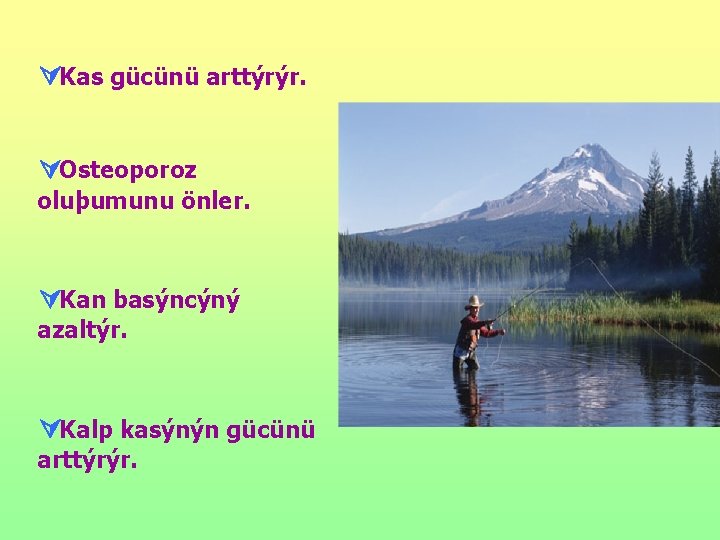 ÚKas gücünü arttýrýr. ÚOsteoporoz oluþumunu önler. ÚKan basýncýný azaltýr. ÚKalp kasýnýn gücünü arttýrýr. 