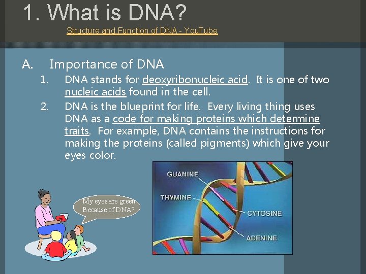 1. What is DNA? Structure and Function of DNA - You. Tube A. Importance