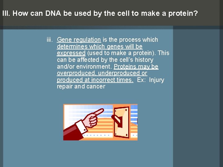 III. How can DNA be used by the cell to make a protein? iii.