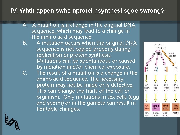 IV. Whth appen swhe nprotei nsynthesi sgoe swrong? A. A mutation is a change