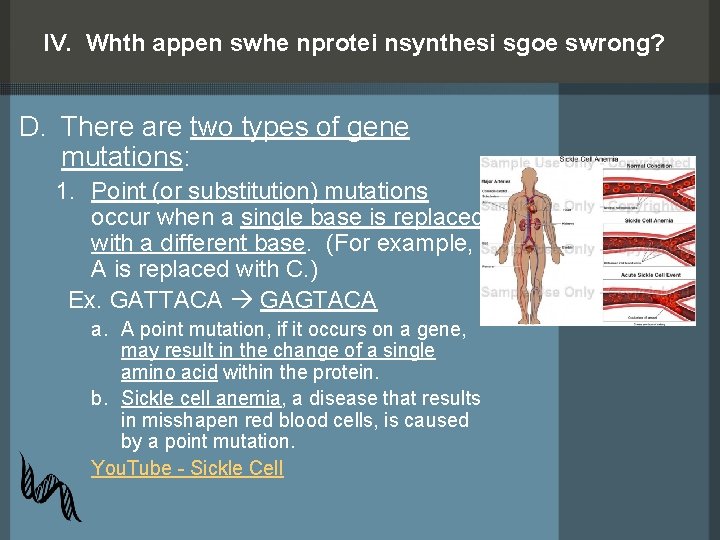 IV. Whth appen swhe nprotei nsynthesi sgoe swrong? D. There are two types of