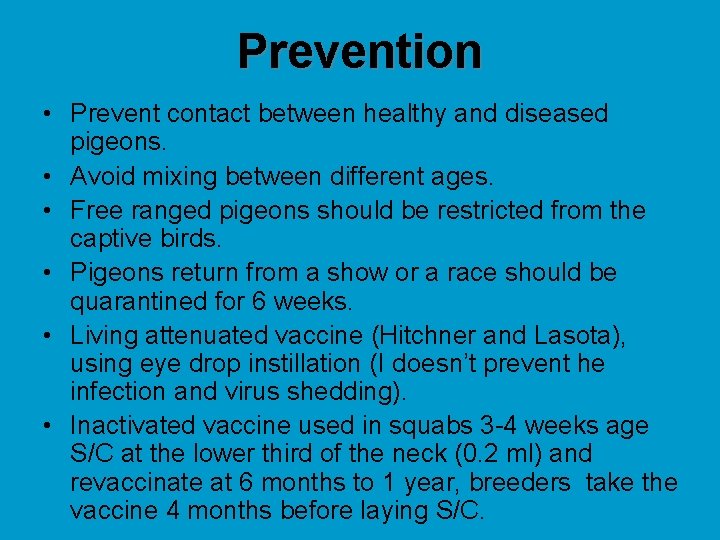 Prevention • Prevent contact between healthy and diseased pigeons. • Avoid mixing between different
