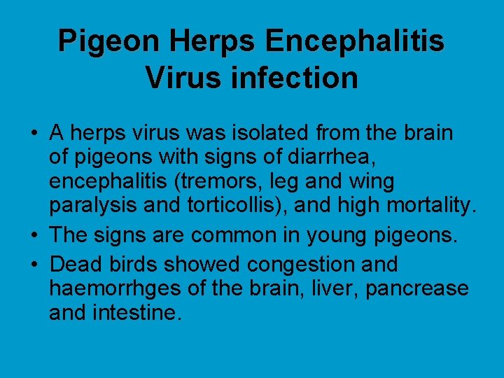 Pigeon Herps Encephalitis Virus infection • A herps virus was isolated from the brain