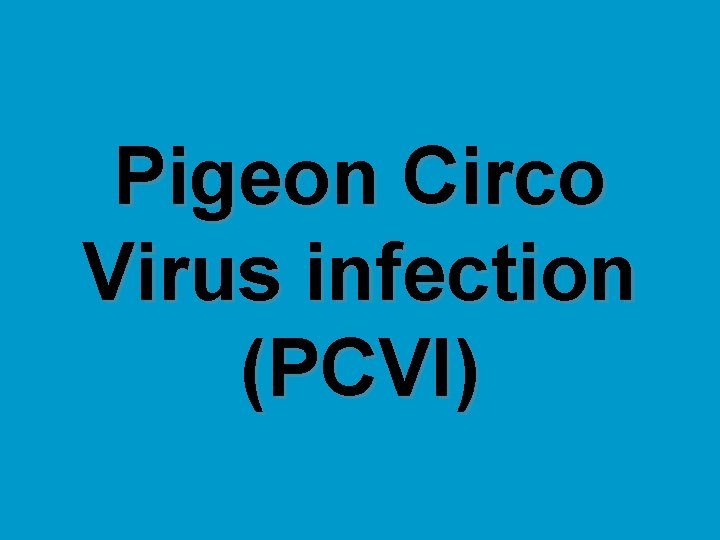 Pigeon Circo Virus infection (PCVI) 
