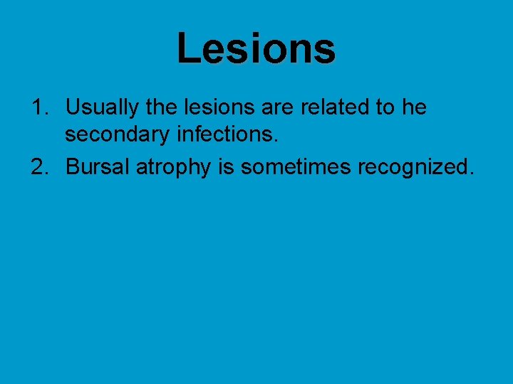 Lesions 1. Usually the lesions are related to he secondary infections. 2. Bursal atrophy