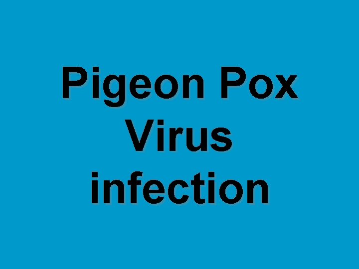 Pigeon Pox Virus infection 