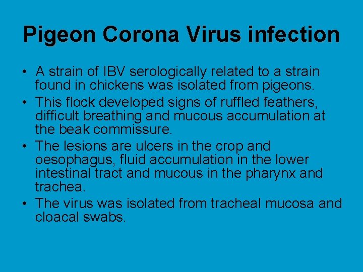 Pigeon Corona Virus infection • A strain of IBV serologically related to a strain