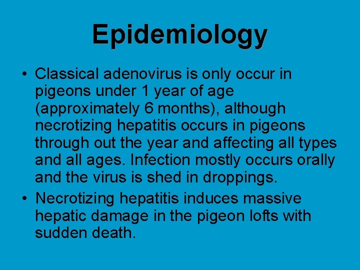 Epidemiology • Classical adenovirus is only occur in pigeons under 1 year of age