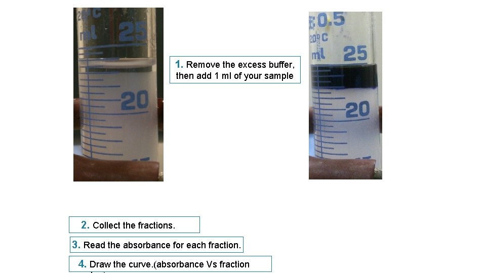 1. Remove the excess buffer, then add 1 ml of your sample 2. Collect