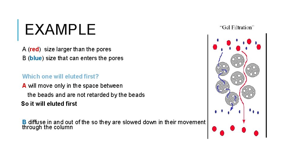EXAMPLE A (red) size larger than the pores B (blue) size that can enters