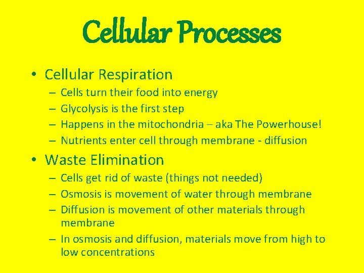Cellular Processes • Cellular Respiration – – Cells turn their food into energy Glycolysis