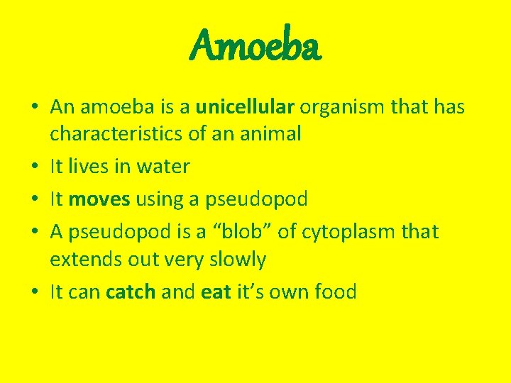 Amoeba • An amoeba is a unicellular organism that has characteristics of an animal