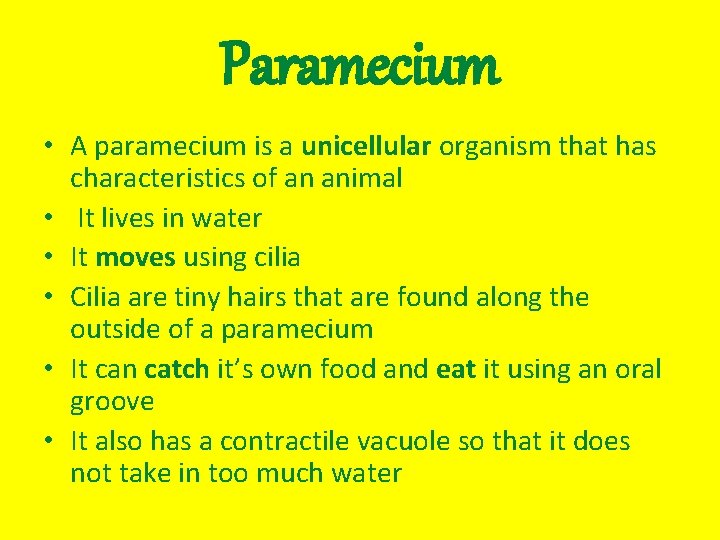 Paramecium • A paramecium is a unicellular organism that has characteristics of an animal