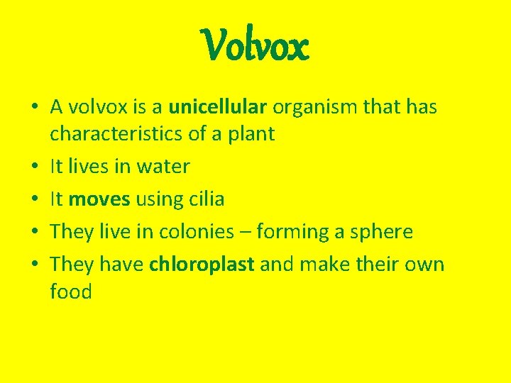 Volvox • A volvox is a unicellular organism that has characteristics of a plant