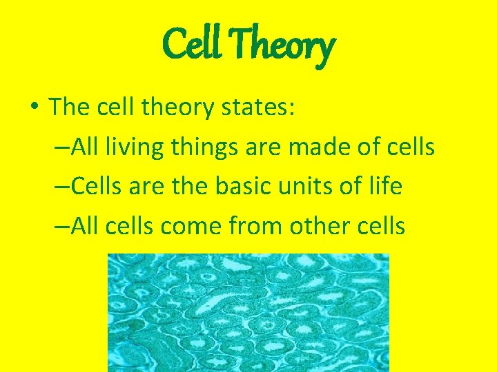Cell Theory • The cell theory states: –All living things are made of cells