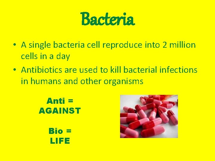 Bacteria • A single bacteria cell reproduce into 2 million cells in a day