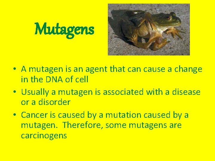 Mutagens • A mutagen is an agent that can cause a change in the