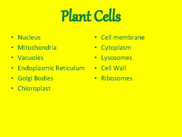 Plant Cells • • • Nucleus Mitochondria Vacuoles Endoplasmic Reticulum Golgi Bodies Chloroplast •