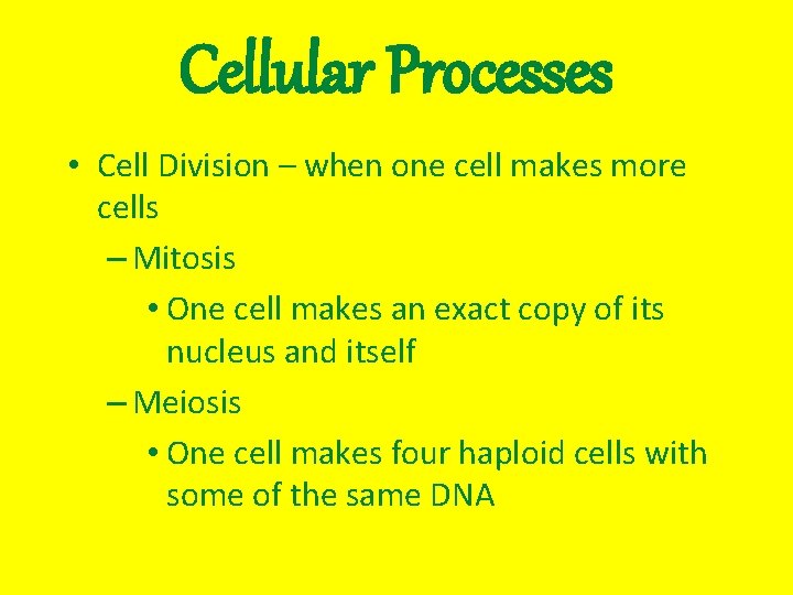 Cellular Processes • Cell Division – when one cell makes more cells – Mitosis