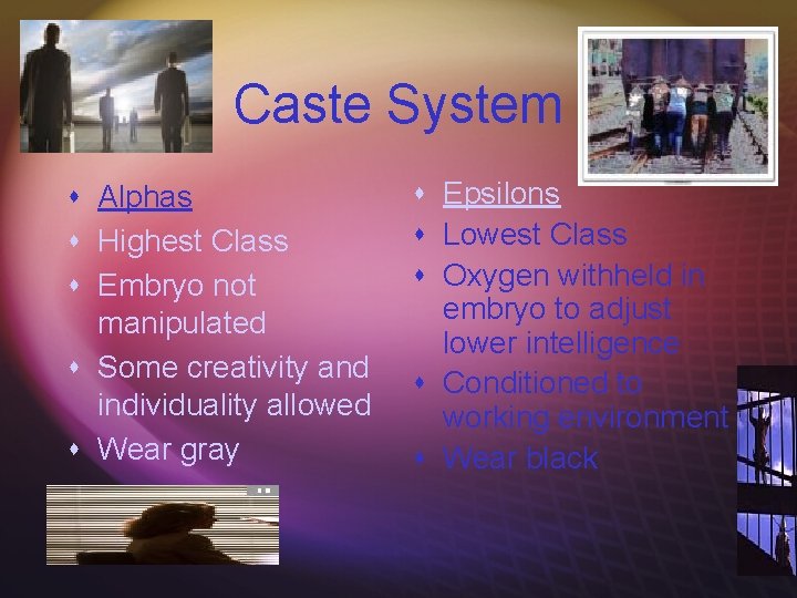 Caste System s Alphas s Highest Class s Embryo not manipulated s Some creativity