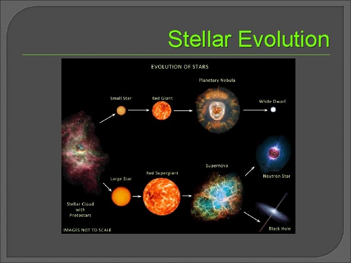 Stellar Evolution 