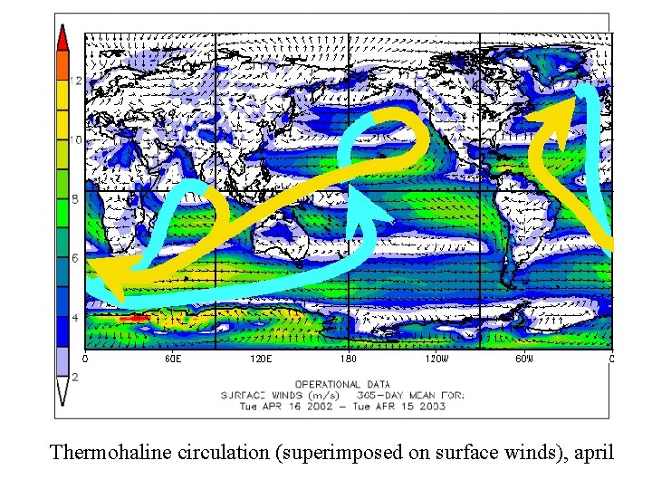 Thermohaline circulation (superimposed on surface winds), april 