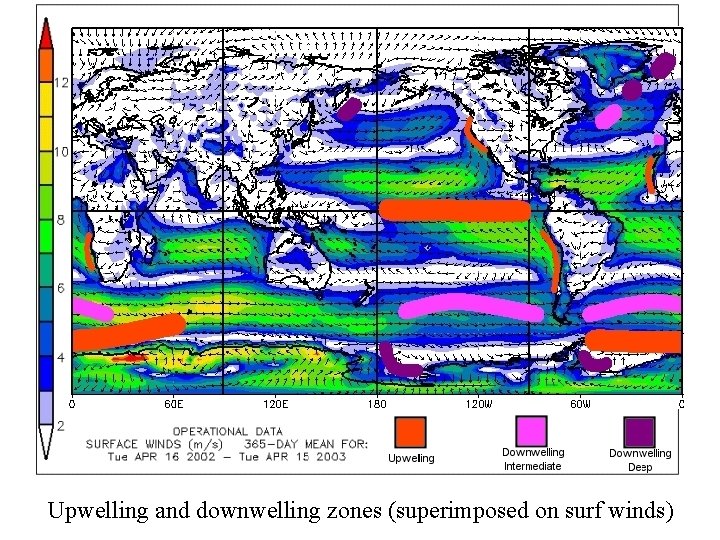 Upwelling and downwelling zones (superimposed on surf winds) 