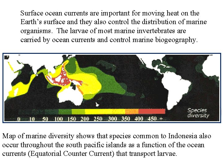 Surface ocean currents are important for moving heat on the Earth’s surface and they