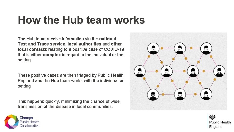 How the Hub team works The Hub team receive information via the national Test