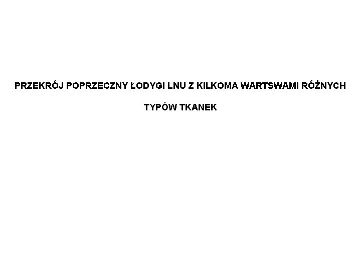 PRZEKRÓJ POPRZECZNY ŁODYGI LNU Z KILKOMA WARTSWAMI RÓŻNYCH TYPÓW TKANEK 