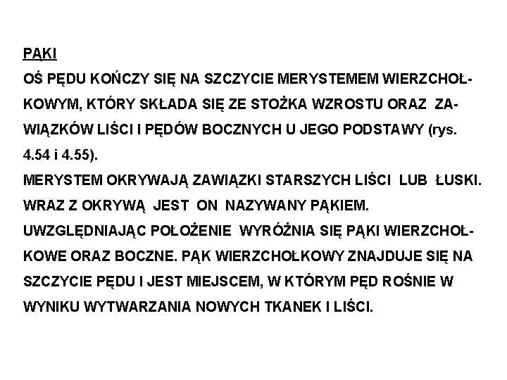 PĄKI OŚ PĘDU KOŃCZY SIĘ NA SZCZYCIE MERYSTEMEM WIERZCHOŁKOWYM, KTÓRY SKŁADA SIĘ ZE STOŻKA