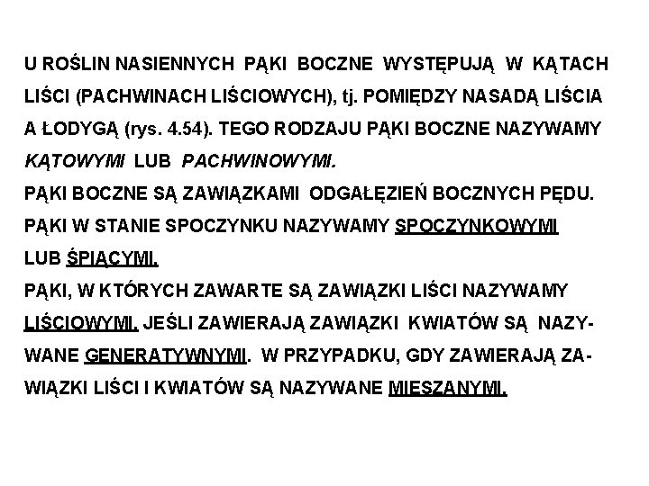 U ROŚLIN NASIENNYCH PĄKI BOCZNE WYSTĘPUJĄ W KĄTACH LIŚCI (PACHWINACH LIŚCIOWYCH), tj. POMIĘDZY NASADĄ