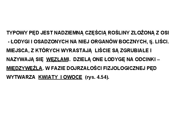 TYPOWY PĘD JEST NADZIEMNĄ CZĘŚCIĄ ROŚLINY ZŁOŻONĄ Z OSI - ŁODYGI I OSADZONYCH NA