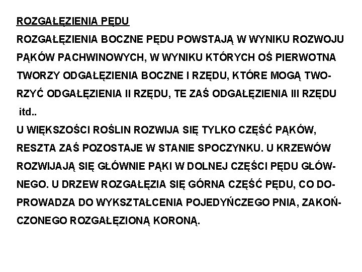 ROZGAŁĘZIENIA PĘDU ROZGAŁĘZIENIA BOCZNE PĘDU POWSTAJĄ W WYNIKU ROZWOJU PĄKÓW PACHWINOWYCH, W WYNIKU KTÓRYCH