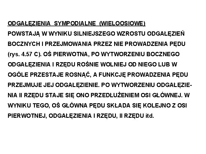 ODGAŁĘZIENIA SYMPODIALNE (WIELOOSIOWE) POWSTAJĄ W WYNIKU SILNIEJSZEGO WZROSTU ODGAŁĘZIEŃ BOCZNYCH I PRZEJMOWANIA PRZEZ NIE