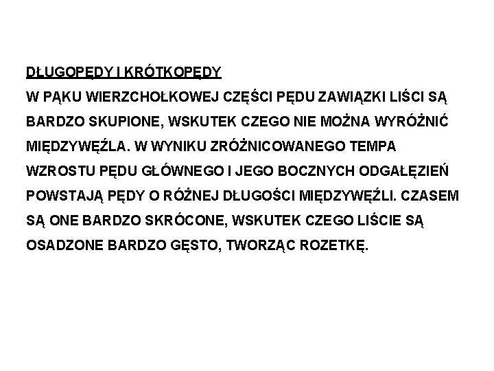 DŁUGOPĘDY I KRÓTKOPĘDY W PĄKU WIERZCHOŁKOWEJ CZĘŚCI PĘDU ZAWIĄZKI LIŚCI SĄ BARDZO SKUPIONE, WSKUTEK