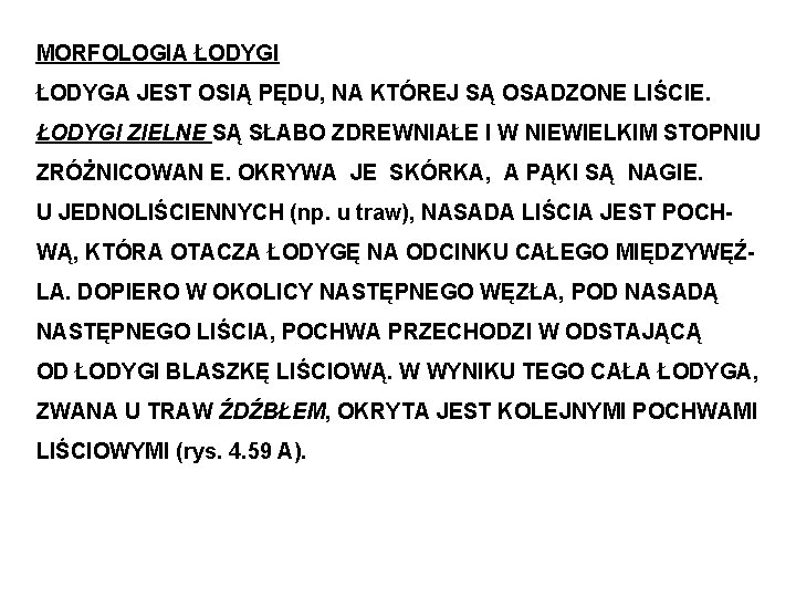 MORFOLOGIA ŁODYGI ŁODYGA JEST OSIĄ PĘDU, NA KTÓREJ SĄ OSADZONE LIŚCIE. ŁODYGI ZIELNE SĄ