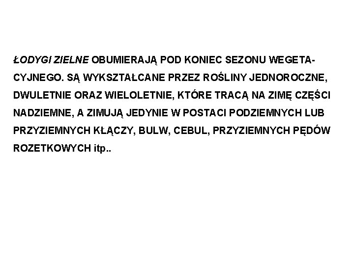 ŁODYGI ZIELNE OBUMIERAJĄ POD KONIEC SEZONU WEGETACYJNEGO. SĄ WYKSZTAŁCANE PRZEZ ROŚLINY JEDNOROCZNE, DWULETNIE ORAZ