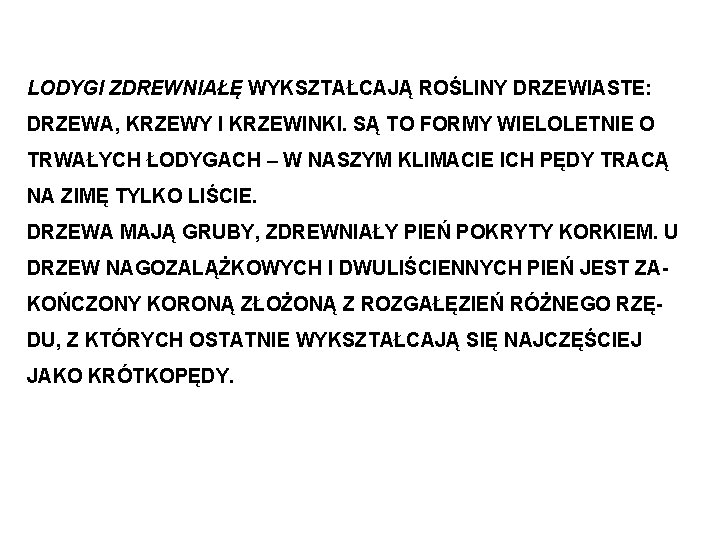 LODYGI ZDREWNIAŁĘ WYKSZTAŁCAJĄ ROŚLINY DRZEWIASTE: DRZEWA, KRZEWY I KRZEWINKI. SĄ TO FORMY WIELOLETNIE O