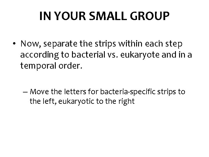 IN YOUR SMALL GROUP • Now, separate the strips within each step according to