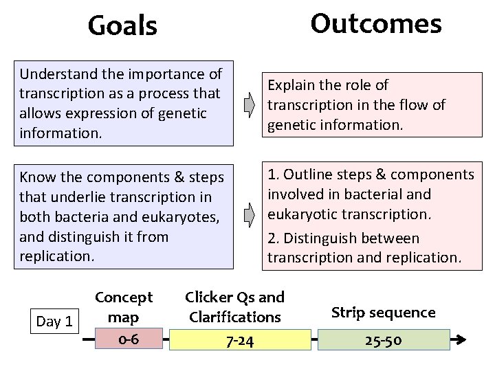 Outcomes Goals Understand the importance of transcription as a process that allows expression of