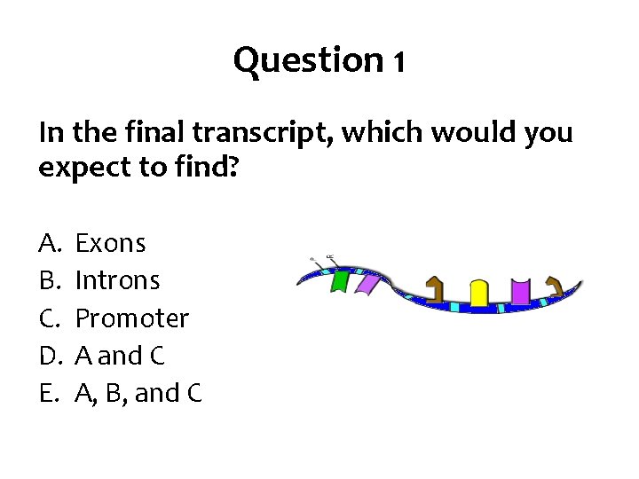 Question 1 In the final transcript, which would you expect to find? A. B.