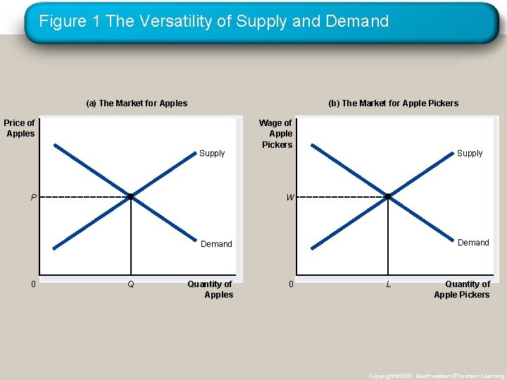 Figure 1 The Versatility of Supply and Demand (a) The Market for Apples (b)