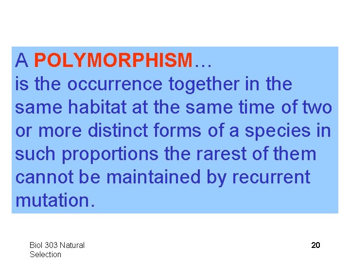 A POLYMORPHISM… is the occurrence together in the same habitat at the same time