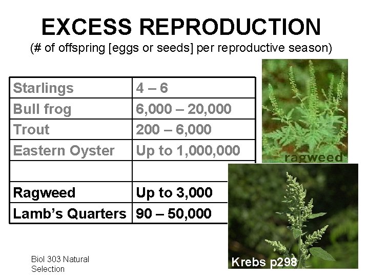 EXCESS REPRODUCTION (# of offspring [eggs or seeds] per reproductive season) Starlings Bull frog
