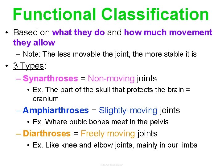 Functional Classification • Based on what they do and how much movement they allow