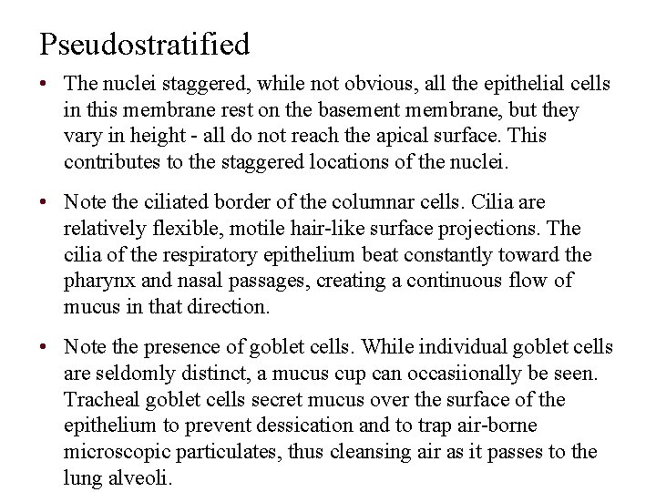 Pseudostratified • The nuclei staggered, while not obvious, all the epithelial cells in this